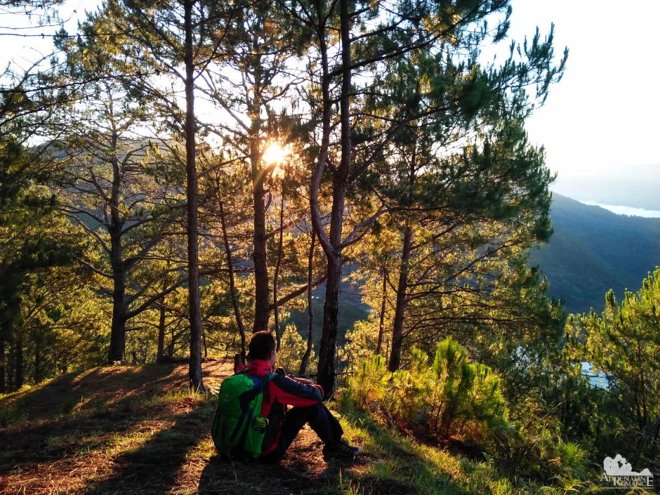 A hiker resting beneath pine trees on the Mount Fato trail