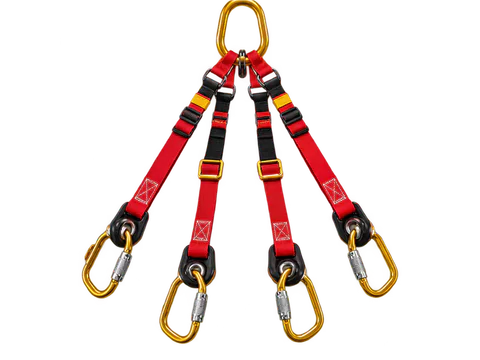 Litter bridles